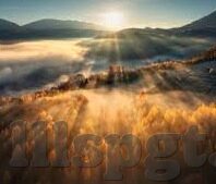 97资源站成人在线视频-揭秘97资源站，成人在线视频的灰色地带与法律风险