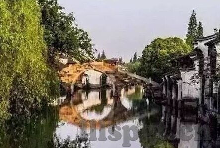 成人免费视频在线播放-网络时代的灰色地带