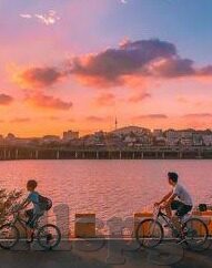 麻豆传媒映画官网app-依法治网，净化网络空间，麻豆传媒映画官网app的警示与思考